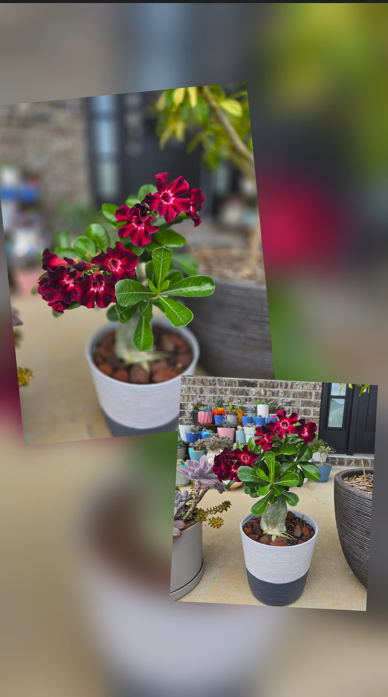 Screenshot 2025-10-23 212938.png