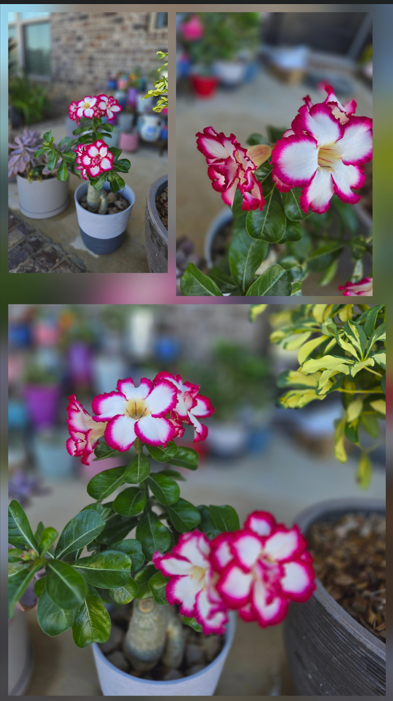 Screenshot 2025-10-23 212958.png