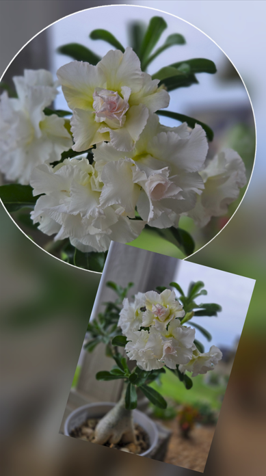 Screenshot 2025-10-23 213036.png