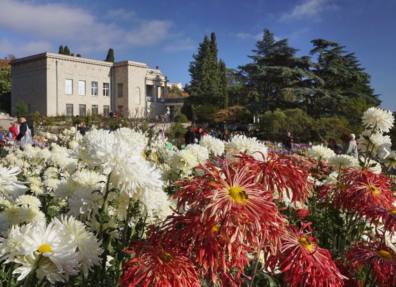 Screenshot 2025-11-10 070657.png