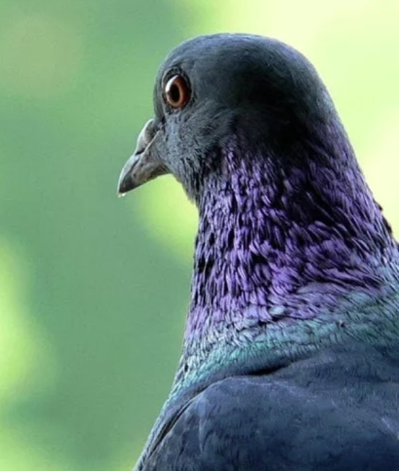 Screenshot 2025-11-17 065613.png