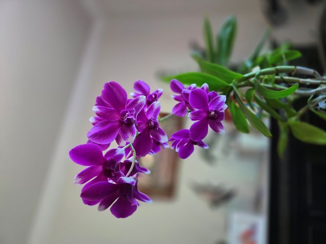20251011_130609.jpg
