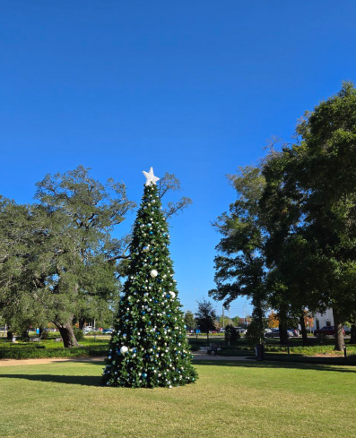 Screenshot 2025-11-18 071207.png