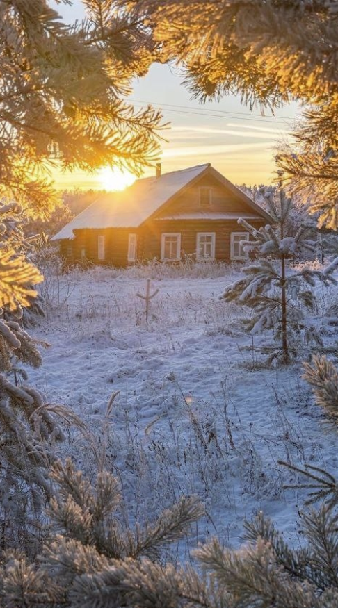 Screenshot 2026-01-06 064325.png