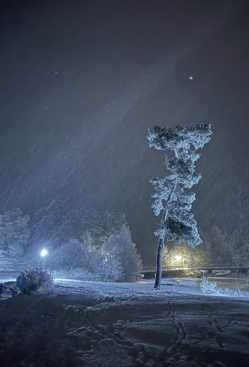 Screenshot 2026-01-06 064347.png