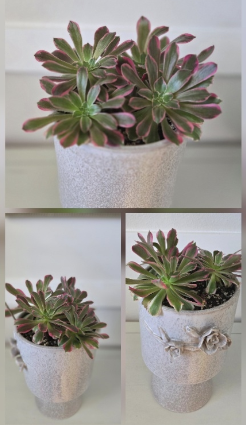 Screenshot 2026-01-09 125741.png