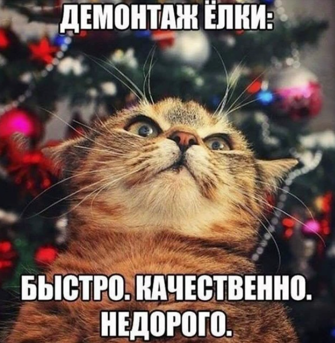 Screenshot 2026-01-17 081131.png