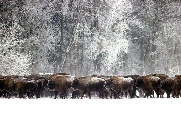 Screenshot 2026-01-17 115742.png