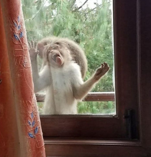 Screenshot 2026-02-17 072722.png