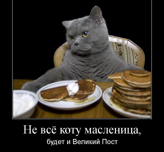 Screenshot 2026-02-21 070639.png