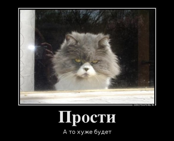 Screenshot 2026-02-22 062901.png