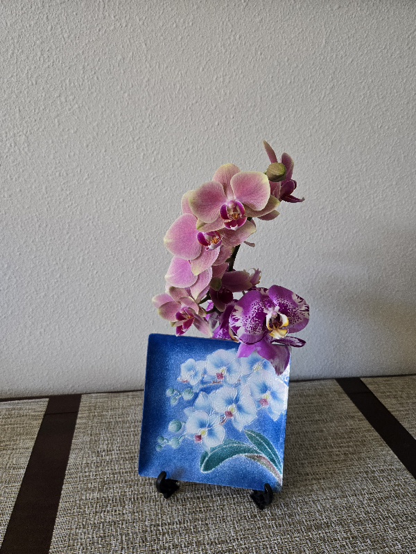 20260312_152055.jpg