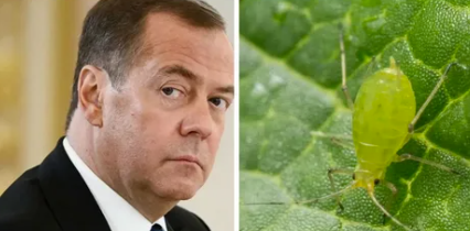 Screenshot 2026-03-19 155519.png