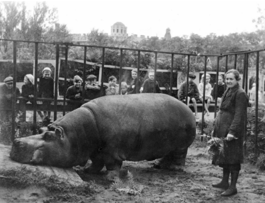 Screenshot 2026-03-29 070929.png