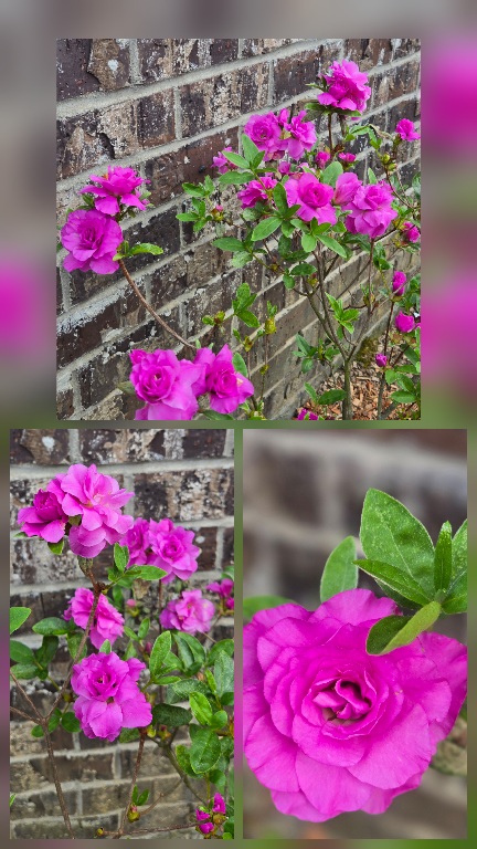 20260406_120822.jpg