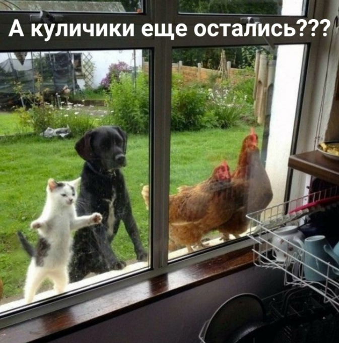 Screenshot 2026-04-22 070607.png