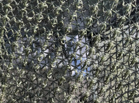 Screenshot 2026-04-29 065806.png