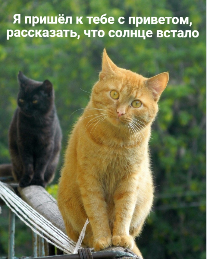 Screenshot 2026-06-11 070249.png