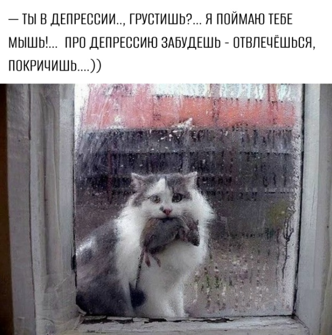 Screenshot 2026-06-23 070849.png