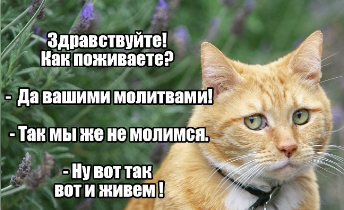 Screenshot 2026-08-04 085051.png
