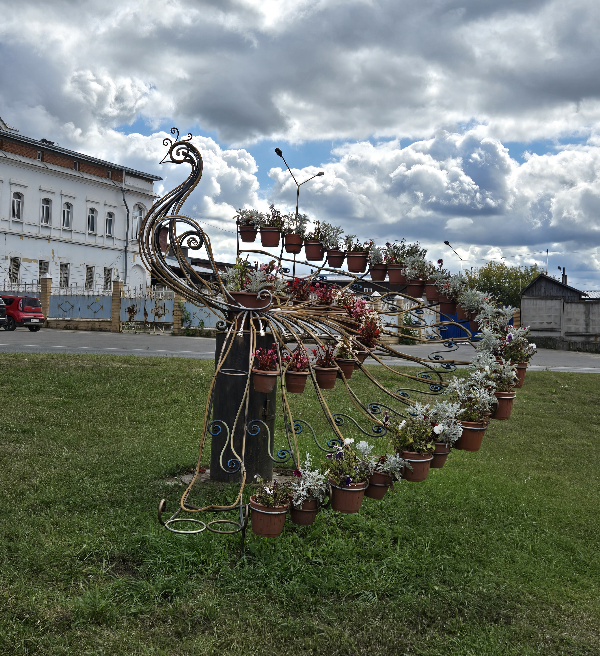 20260824_114459.jpg