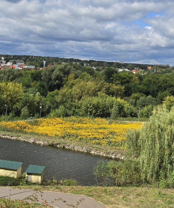 20260824_113341.jpg