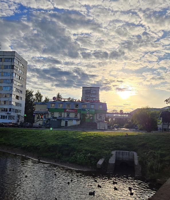 20260829_182653.jpg