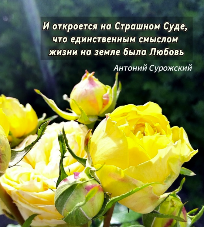 Screenshot 2026-10-28 181022.png
