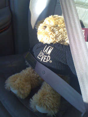 bear.jpg
