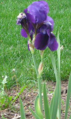 DSC02745.JPG