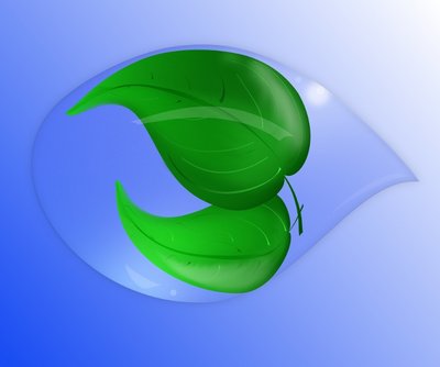 leaf  and drop.jpg