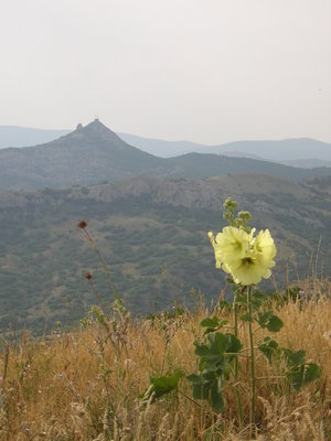 Foto4.JPG