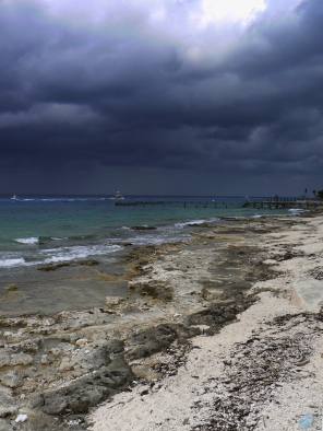 P1030499-1SMAILL.jpg