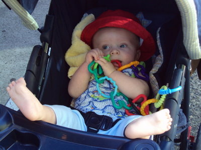 PRIKOL`NUI AMADEI.JPG