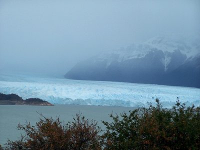 107.JPG