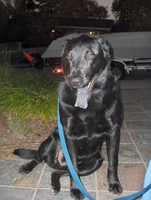 Copy of HPIM1101.JPG