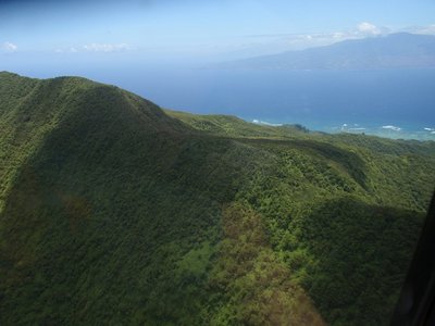 hawaiiaug2010-2 706copy.jpg