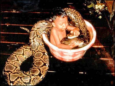 thai.jpg