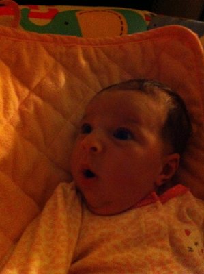 2010-10-03_Katherine_034a.JPG