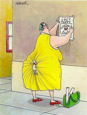 squats.jpg