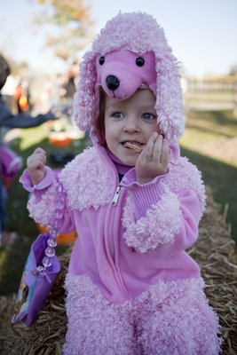 IMG_2244.jpg