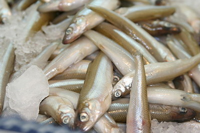 800px-Smelt.jpg