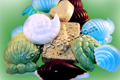 SOAPS-S-WM.jpg