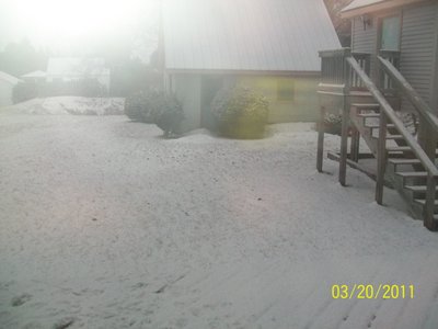 100_5934.jpg