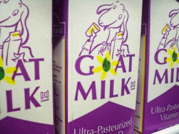 goat-milk.jpg