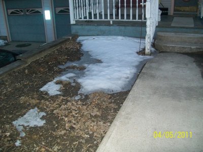 100_5954.jpg