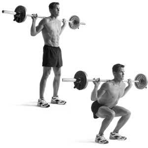 Squat3.jpg