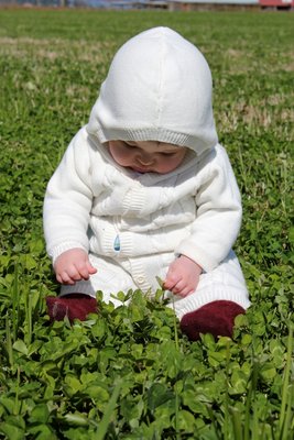 IMG_4243.JPG