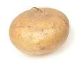 jicama.png