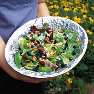 berry-salad-sl-1079869-l.jpg